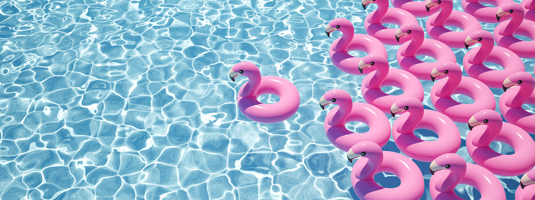 A,Lot,Of,Flamingo,Floats,In,A,Pool.,3d,Rendering