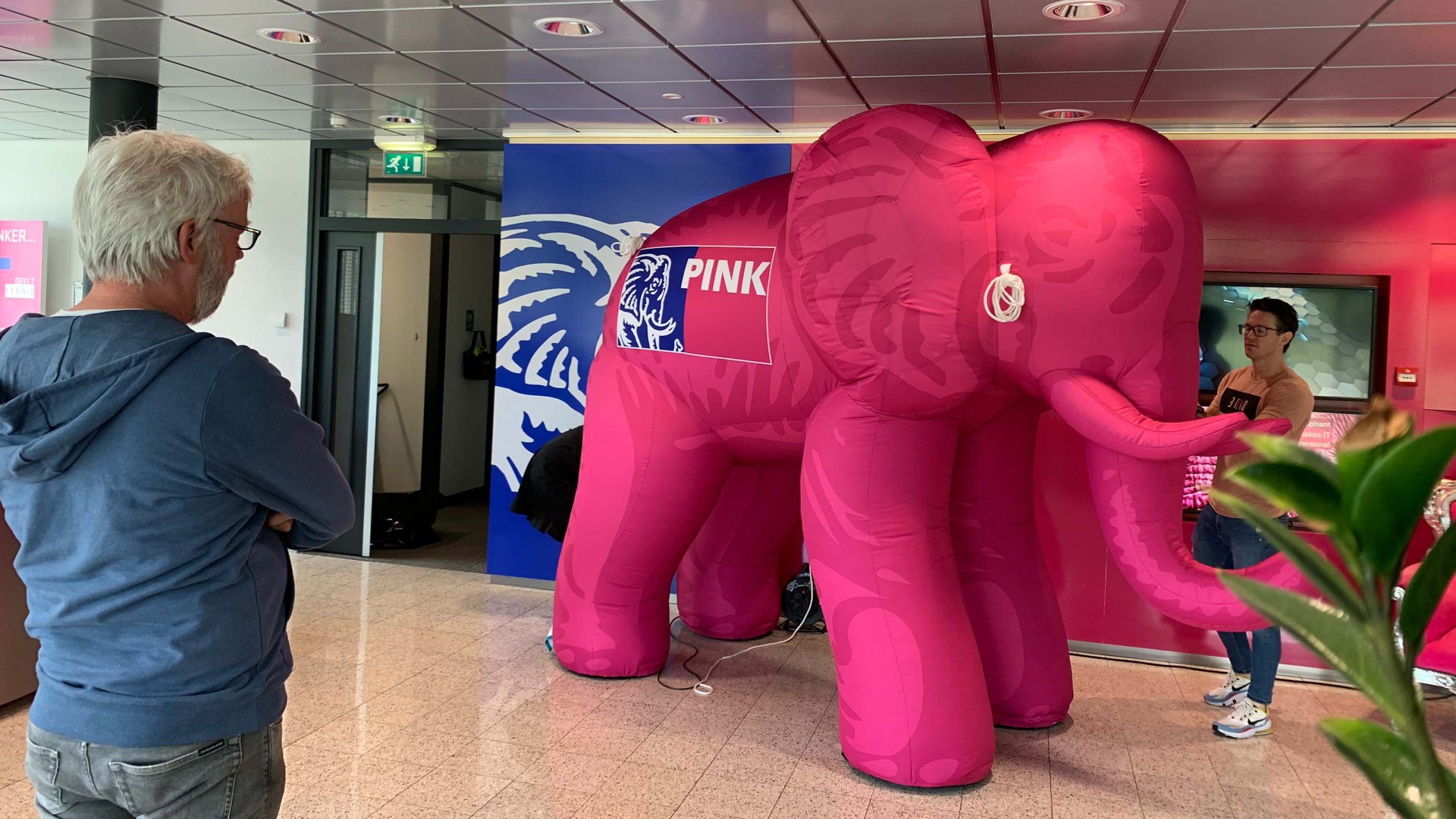 publi-air-pink-elephant-binnen