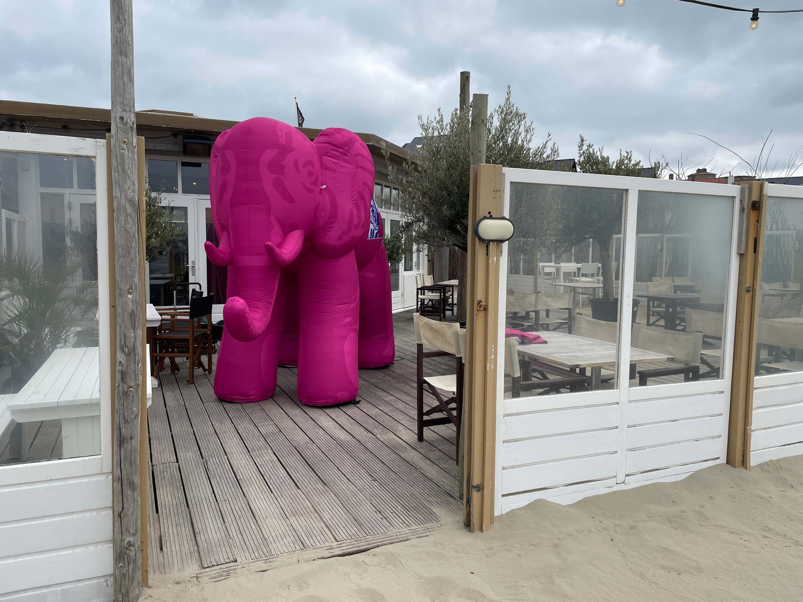 pink-elephant-buiten-strand-single