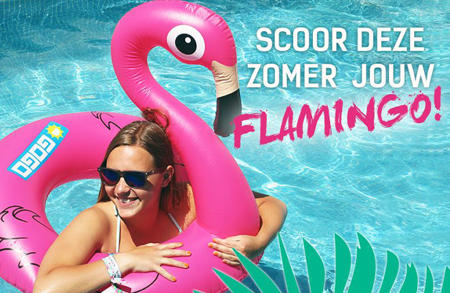 Gogo-tours-Flamingo-premiums