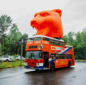 Oranje-iconisch: 4 meter hoge leeuwin op historische fanbus